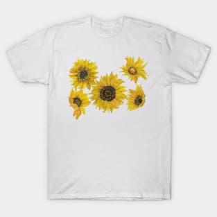 Sunflowers 1 T-Shirt